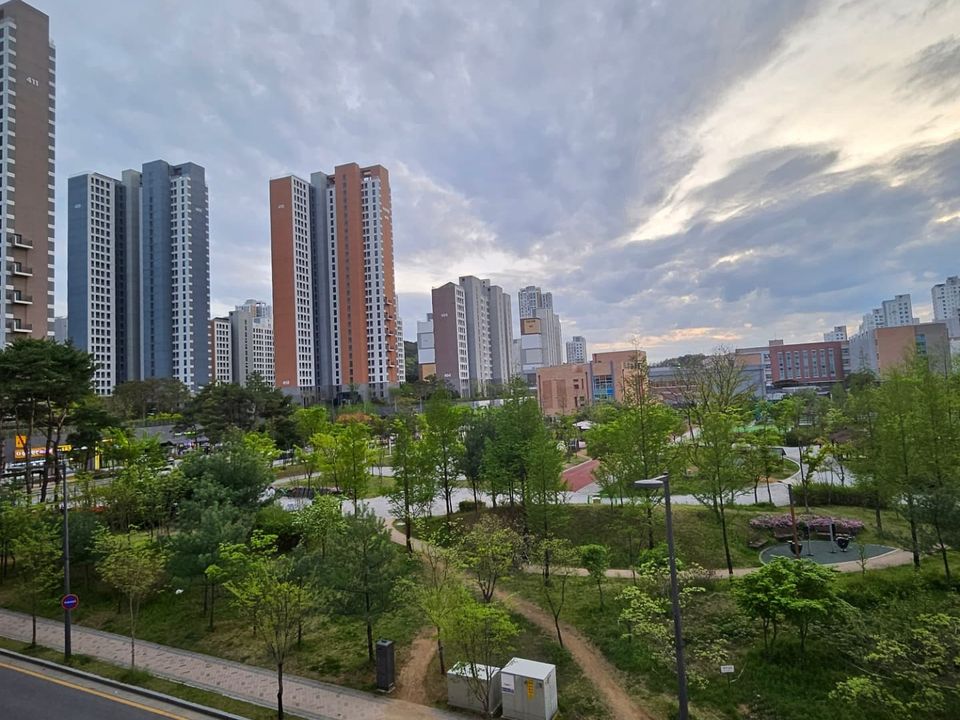 학원 창밖으로 보이는 다정동 공원과 아파트